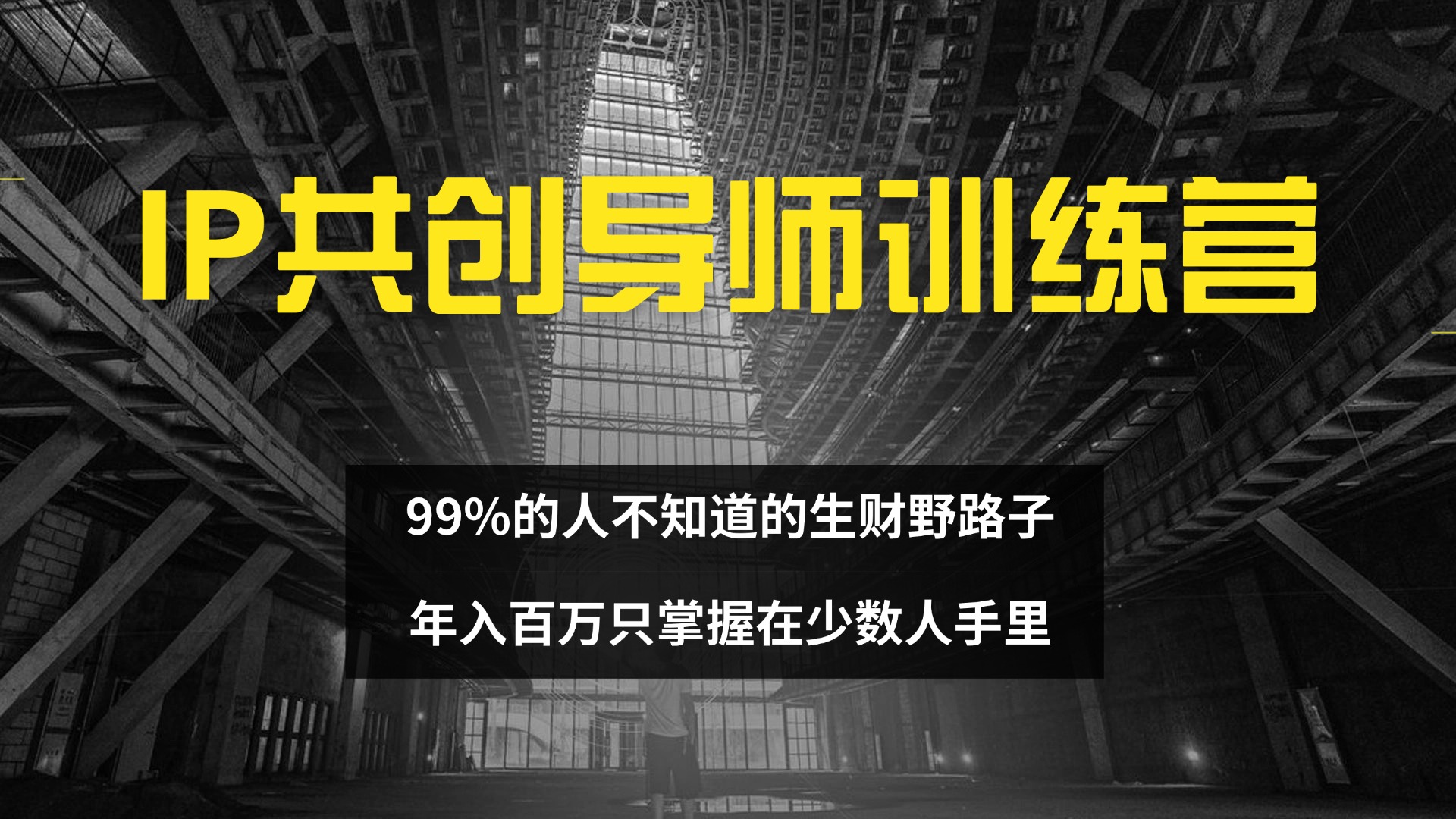 IP共创导师训练营 99%的人不知道的生财野路子 只掌握在少数人手里-徐小晨博客