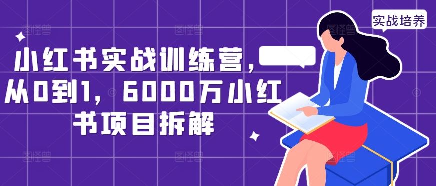 小红书实战训练营，从0到1，6000万小红书项目拆解-徐小晨博客