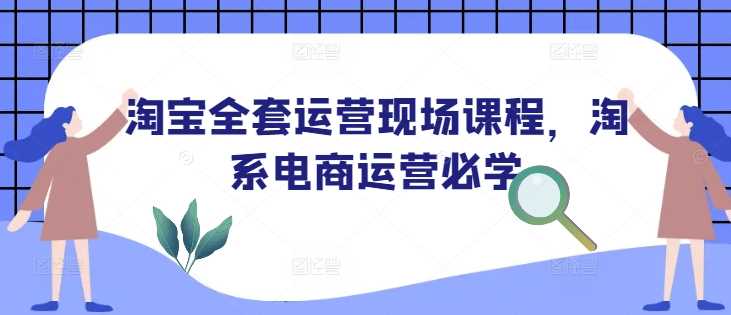 淘宝全套运营现场课程，淘系电商运营必学-徐小晨博客