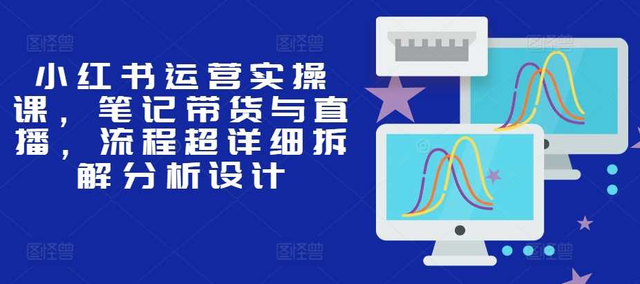 小红书运营实操课，笔记带货与直播，流程超详细拆解分析设计-徐小晨博客