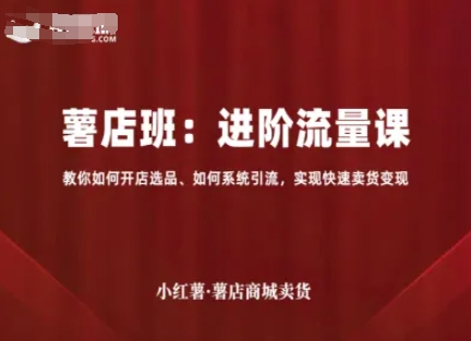 小红薯薯店商城卖货，进阶流量课，教你如何开店选品、如何系统引流，实现快速卖货变现-徐小晨博客