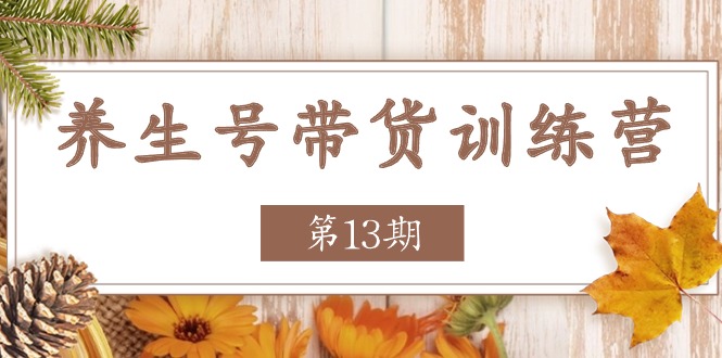 养生号-带货训练营【第13期】收益更稳定的玩法，让你带货收益爆炸-徐小晨博客