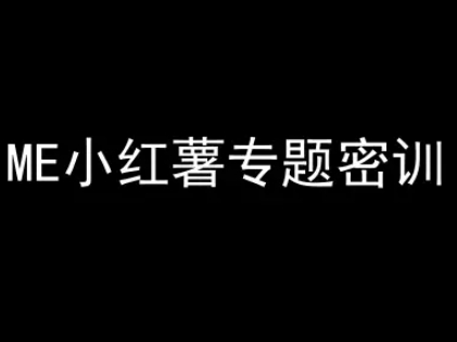 ME小红薯专题密训-小红书电商教程-徐小晨博客