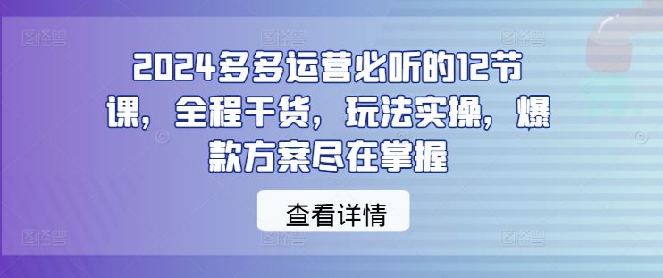2024多多运营必听的12节课，全程干货，玩法实操，爆款方案尽在掌握-徐小晨博客