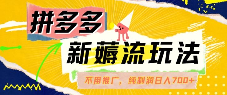 拼多多最新薅流玩法，无需开车推广，纯靠自然流吃饭-单纯赚50+利润，日入700+【揭秘】-徐小晨博客