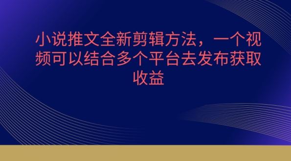 小说推文全新剪辑方法，一个视频可以结合多个平台去发布获取【揭秘】-徐小晨博客