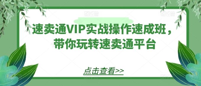 速卖通VIP实战操作速成班，带你玩转速卖通平台-徐小晨博客
