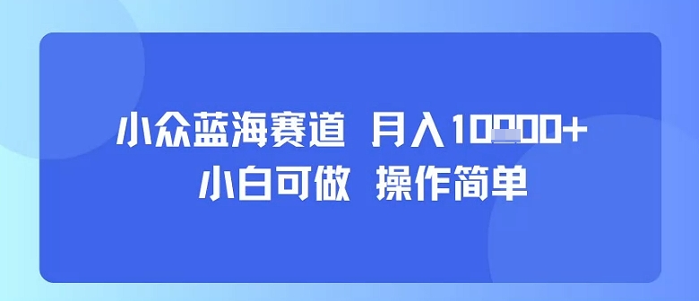 小众蓝海赛道，小白可做，操作简单，每天30分钟，月入1W+-徐小晨博客