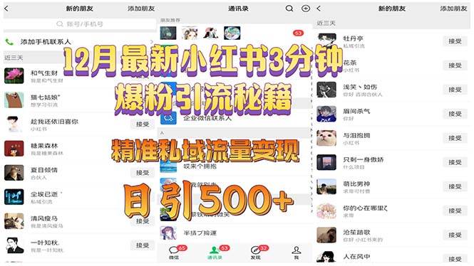12月最新小红书3分钟爆粉引流秘籍 精准私域流量变现 日引500+-徐小晨博客