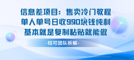 信息差项目：售卖冷门教程单人单号日收9张纯利基本就是复制粘贴就能做-徐小晨博客