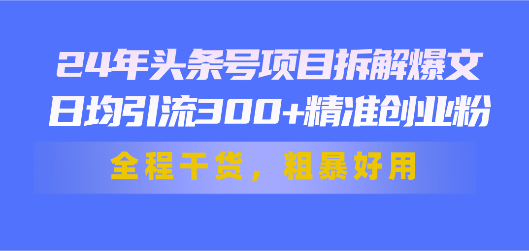 24年头条号项目拆解爆文，日均引流300+精准创业粉，全程干货，粗暴好用-徐小晨博客