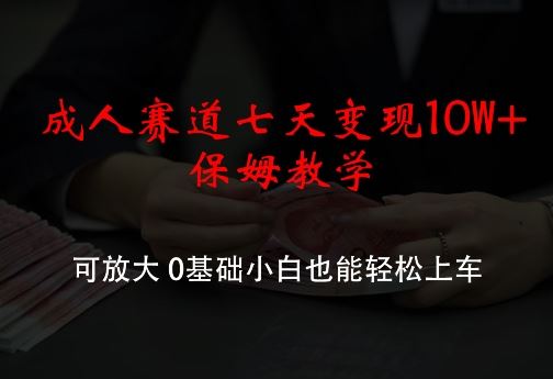 成人赛道七天变现10W+保姆教学，可放大，0基础小白也能轻松上车【揭秘】-徐小晨博客