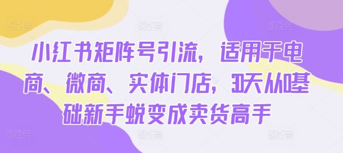 小红书矩阵号引流，适用于电商、微商、实体门店，30天从0基础新手蜕变成卖货高手-徐小晨博客
