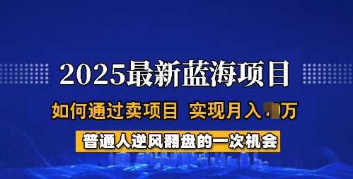 2025蓝海项目，普通人如何通过卖项目，实现月入过W，全过程【揭秘】-徐小晨博客