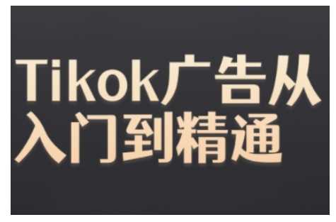 Tiktok Ads实操教程，Tiktok广告从入门到精通-徐小晨博客