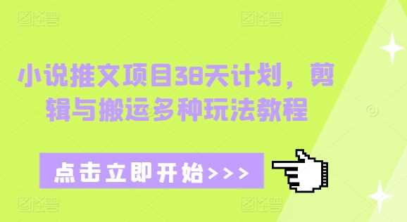 小说推文项目38天计划，剪辑与搬运多种玩法教程-徐小晨博客