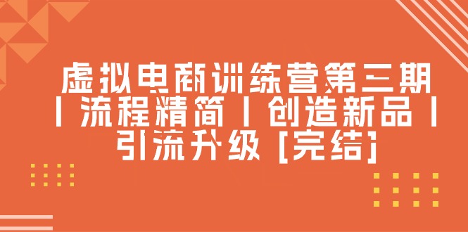 虚拟电商训练营第三期丨流程精简丨创造新品丨引流升级 [完结]-徐小晨博客