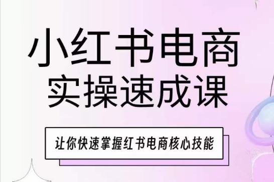 小红书电商实操速成课，让你快速掌握红书电商核心技能-徐小晨博客