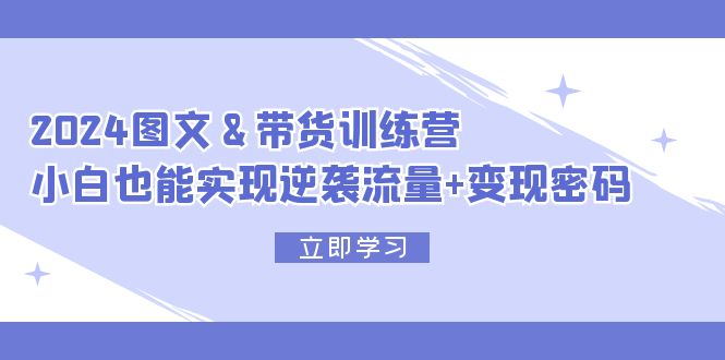 2024 图文+带货训练营，小白也能实现逆袭流量+变现密码-徐小晨博客