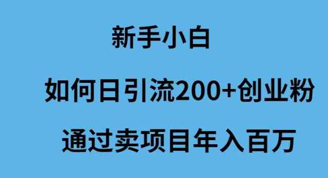 新手小白如何日引流200+创业粉通过卖项目年入百万-徐小晨博客