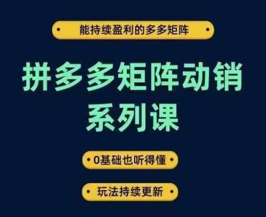 拼多多矩阵动销系列课，能持续盈利的多多矩阵，0基础也听得懂，玩法持续更新-徐小晨博客