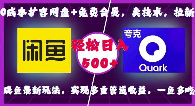 0成本扩容网盘+免费会员，卖技术，拉新，咸鱼最新玩法，实现多重管道收益，一鱼多吃，轻松日入500+-徐小晨博客