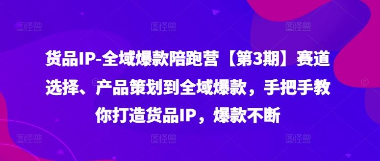 货品IP全域爆款陪跑营【第3期】赛道选择、产品策划到全域爆款，手把手教你打造货品IP，爆款不断-徐小晨博客