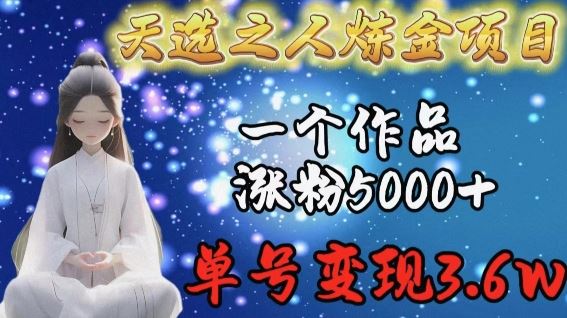 天选之人炼金项目，一个作品涨粉5000+，单号变现3.6w【揭秘】-徐小晨博客