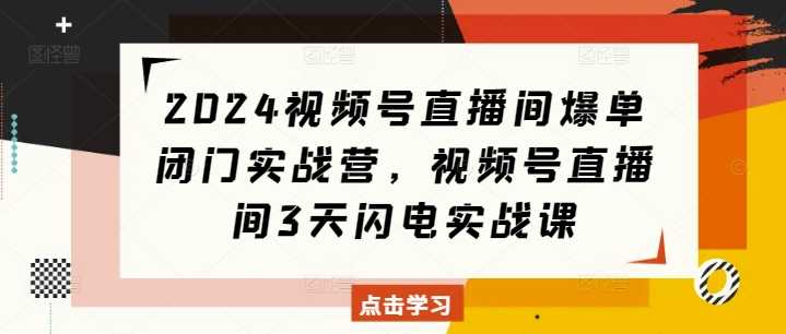 2024视频号直播间爆单闭门实战营，视频号直播间3天闪电实战课-徐小晨博客
