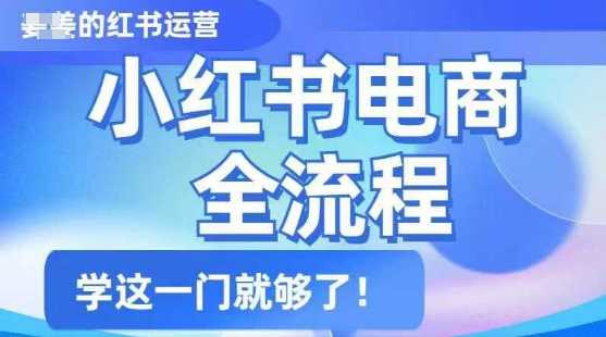 小红书电商全流程，精简易懂，从入门到精通，学这一门就够了-徐小晨博客