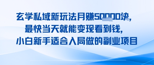 玄学私域新玩法月入1W+，最快当天就能变现看到米，小白新手适合入局做的副业项目-徐小晨博客