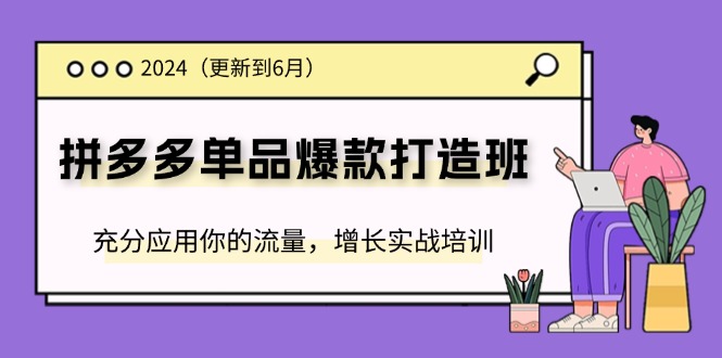 2024拼多多-单品爆款打造班(更新6月)，充分应用你的流量，增长实战培训-徐小晨博客