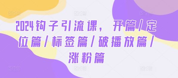 2024钩子引流课，开篇/定位篇/标签篇/破播放篇/涨粉篇-徐小晨博客