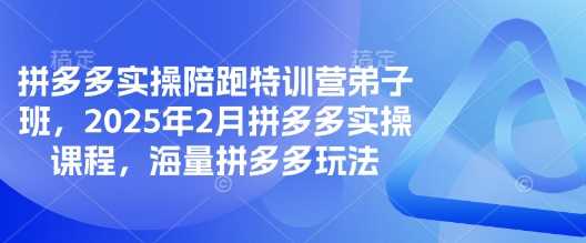 拼多多实操陪跑特训营弟子班，2025年2月拼多多实操课程，海量拼多多玩法-徐小晨博客