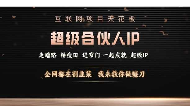 互联网项目天花板，超级合伙人IP，全网都在割韭菜，我来教你做镰刀【仅揭秘】-徐小晨博客