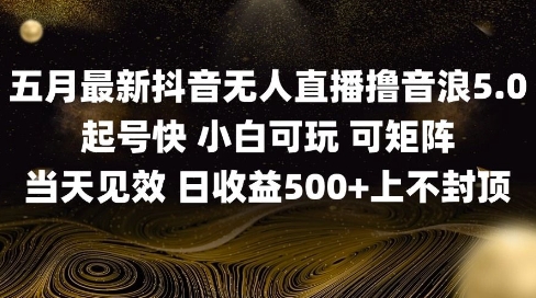2025五月最新无人直播撸音浪单日产出5张+实操教程【揭秘】-徐小晨博客