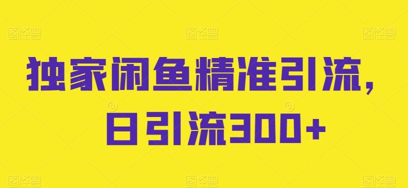 独家闲鱼精准引流，日引流300+【揭秘】-徐小晨博客
