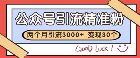 公众号精准粉引流玩法，2个月3000+精准粉，变现30个W【揭秘】-徐小晨博客