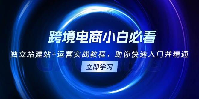跨境电商小白必看！独立站建站+运营实战教程，助你快速入门并精通-徐小晨博客