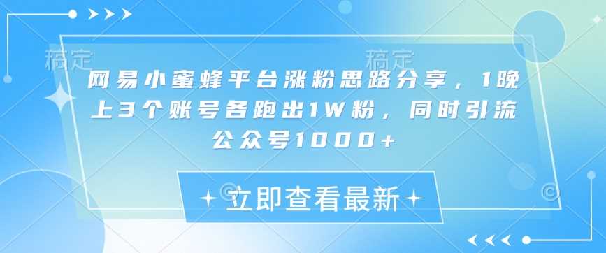 网易小蜜蜂平台涨粉思路分享，1晚上3个账号各跑出1W粉，同时引流公众号1000+-徐小晨博客