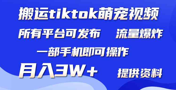 搬运Tiktok萌宠类视频，一部手机即可。所有短视频平台均可操作，月入3W+-徐小晨博客