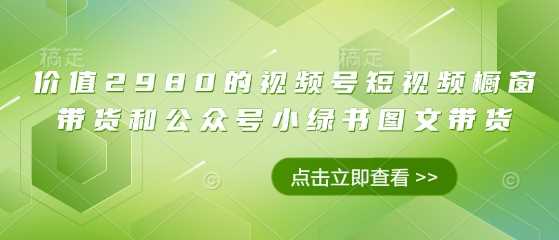 价值2980的视频号短视频橱窗带货和公众号小绿书图文带货-徐小晨博客