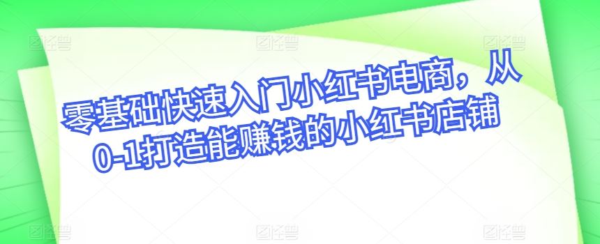 零基础快速入门小红书电商，从0-1打造能赚钱的小红书店铺-徐小晨博客
