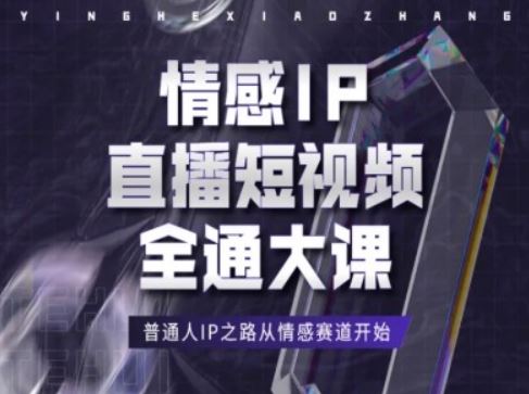 情感IP直播短视频全通大课，普通人IP之路从情感赛道开始-徐小晨博客