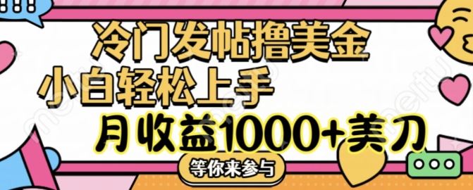冷门发帖撸美金项目，月收益1000+美金，简单无脑，干就完了【揭秘】-徐小晨博客