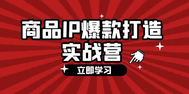 商品-IP爆款打造实战营【第四期】，手把手教你打造商品IP，爆款 不断-徐小晨博客