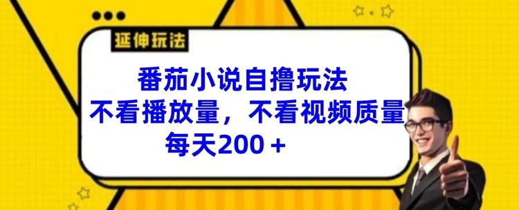 番茄小说自撸玩法，不看播放量，不看视频质量，每天200+【揭秘】-徐小晨博客