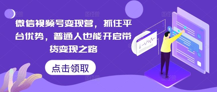 微信视频号变现营，抓住平台优势，普通人也能开启带货变现之路-徐小晨博客