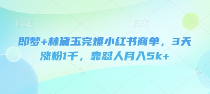 即梦+林黛玉完爆小红书商单，3天涨粉1千，靠怼人月入5k+-徐小晨博客