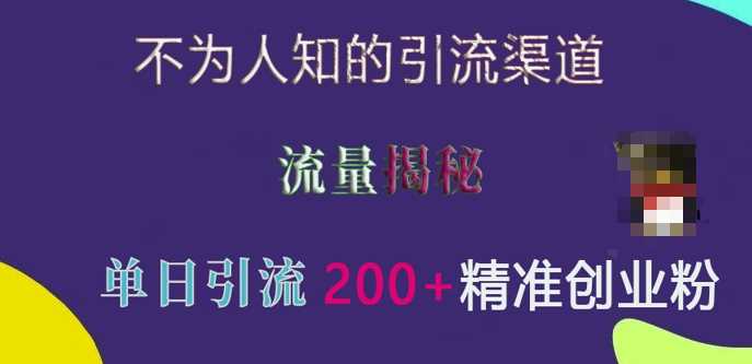 不为人知的引流渠道，流量揭秘，实测单日引流200+精准创业粉【揭秘】-徐小晨博客
